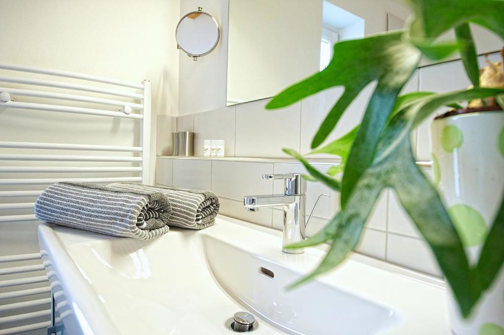 Greenhome Appartement Niedernsill Room photo
